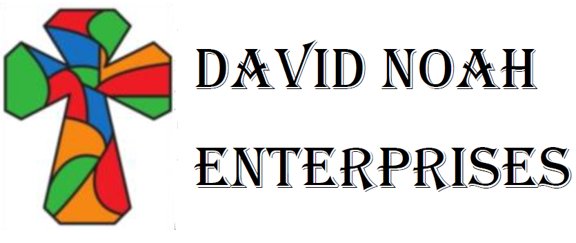David Noah Enterprises